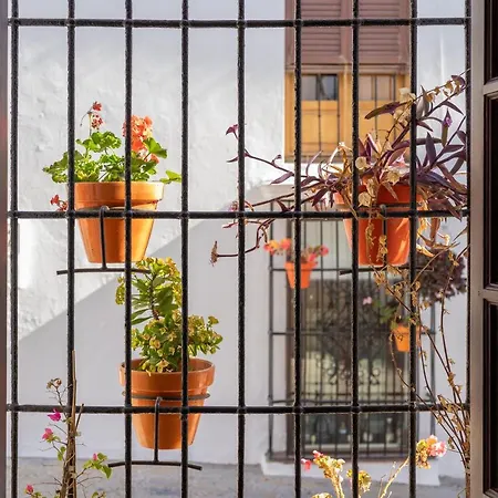 Hébergement de vacances Casa Blanca Estepona